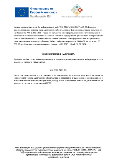 Brain Storm Consult Audit - Водещи услуги за финансов одит и консултации в България